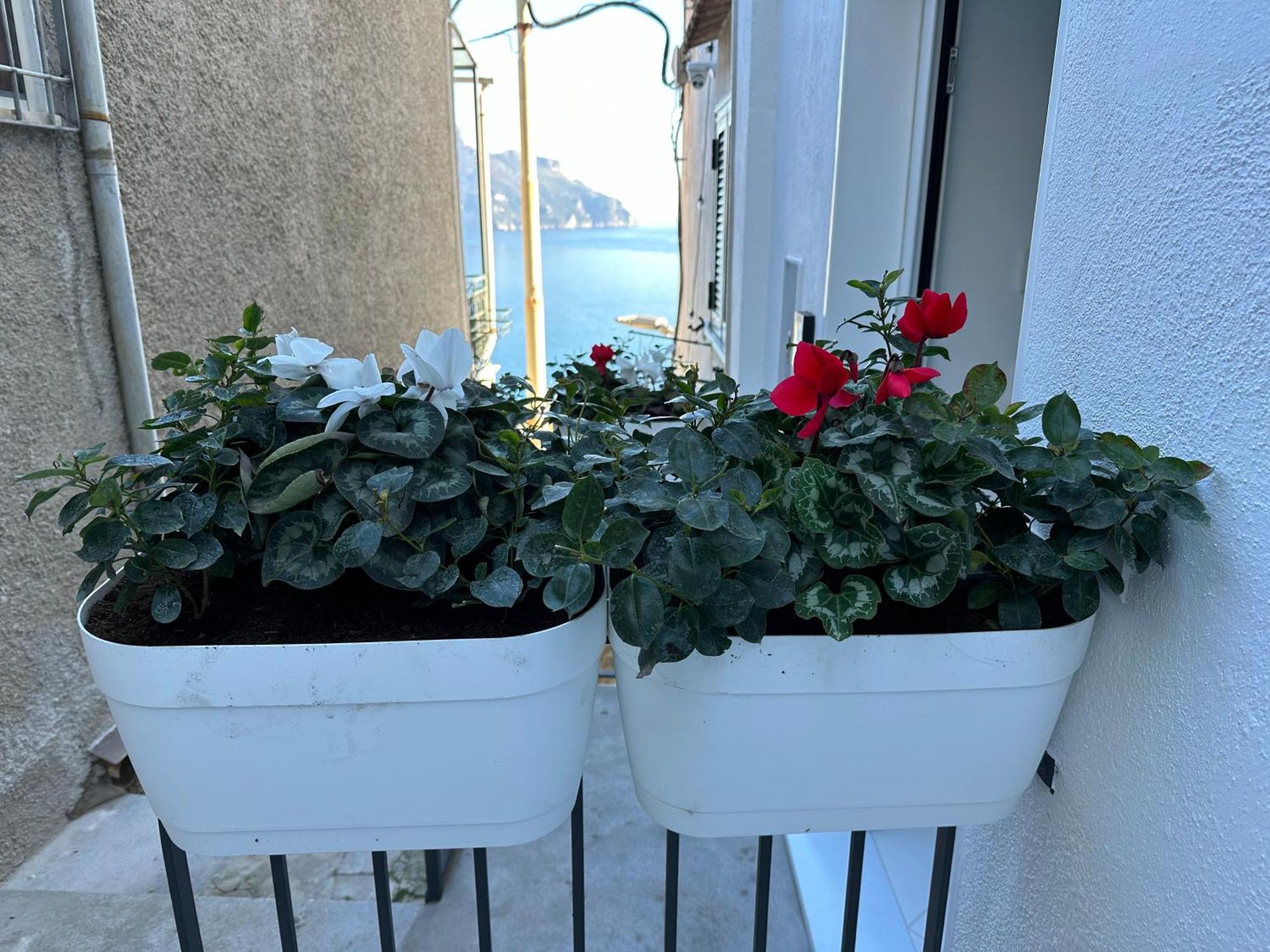 Ravello Suite エクステリア 写真